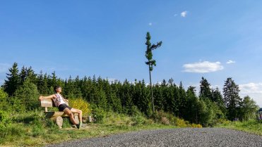 Vyhlídkové místo nad osadou Rožnov
Běh Českou Kanadou ve velmi teplém počasí a s bolavou nohou.