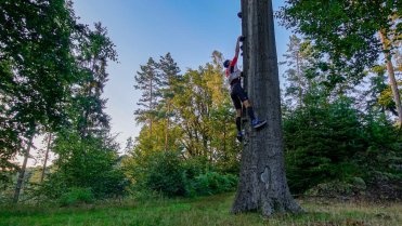 Lezení po houbách na stromě
Týdenní běhání přes kopce, skály, vyhlídky a kaňony v Českém i Saském Švýcarsku a Lužických horách.
