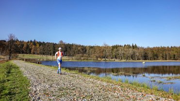 Hráz rybníka Šilhan
Celodenní běh nádhernou podzimní krajinou přes zajímavá místa v okolí Javořice, která je nejvyšším vrcholem celé Českomoravské vrchoviny.
