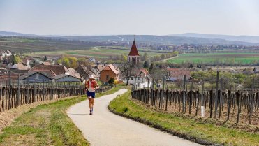 Cesta k obci Retzbach
Běh z obce Hnanice do Rakouska, kde jsem se celý den pohyboval kolem vinic na úbočí dlouhého hřebenu mezi městy Retz a Pulkau.